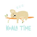 Funny cute koala sleeping on a tree Royalty Free Stock Photo