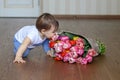 Funny cute little baby smell flowers - bouquet of tulips Royalty Free Stock Photo