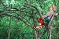 Funny cute little girl sitting on a tree in the green garden. Royalty Free Stock Photo