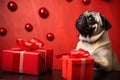 Funny cute little purebred Pug dog pet doggy puppy Christmas presents gifts box surprise tradition festive decorations Royalty Free Stock Photo