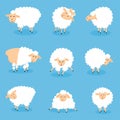 Funny cute little sheep cartoon characters. A set of sheep in different poses. Vector illustration isolated on blue background. Royalty Free Stock Photo