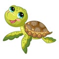 Funny cute ocean turtle vector isolated illustration Royalty Free Stock Photo