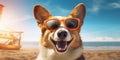 Funny and Cute Pembroke Welsh Corgi Dog with Sunglasses and a Beachy Vibe. Generative AI Royalty Free Stock Photo