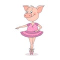 Funny cute pig is in a beautiful dress Royalty Free Stock Photo