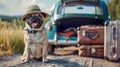 A funny and cute pug dog with a hat and an open mouth sits against the background of large suitcases and an open trunk Royalty Free Stock Photo