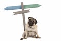 Funny cute pug puppy dog sitting down next to blank signpost; with signs pointing left and right