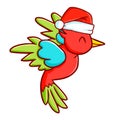 Funny and cute red green blue bird wearing Santa`s hat for Christmas Royalty Free Stock Photo