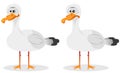 Funny Cute Seagull Royalty Free Stock Photo