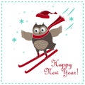 Funny and cute skiing owl. New Year card.