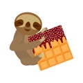 Funny and cute smiling Three-toed sloth with Belgian waffle with chocolate and sprinkle on white background. Vector