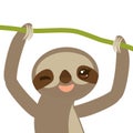 Funny and cute smiling Three-toed sloth on green branch, isolated white background. Vector