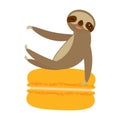 Funny and cute smiling Three-toed sloth with macaroon on white background. Vector