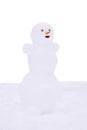 Funny cute snowman with carrot nose stands in the snow Royalty Free Stock Photo