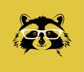 Portrait of a friendly raccoon wearing glasses Royalty Free Stock Photo