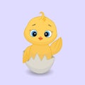 Funny and cute yellow newborn chicken in broken egg shell. Cute vector Royalty Free Stock Photo