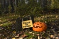 Funny cutout Halloween pumpkin head in a meadow with fallen leaves against forest. Next to it is a trick or treat sign Royalty Free Stock Photo