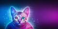 Funny cyber cat with big eyes on digital dark background. AI artificial intelligence technology concept