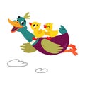 Funny Dabbling Duck Character Flying with Baby Duckling Vector Illustration