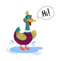 Funny Dabbling Duck Character Greeting Saying Hi Vector Illustration