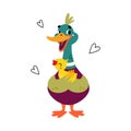 Funny Dabbling Duck Character Hold Baby Duckling Vector Illustration