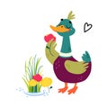 Funny Dabbling Duck Character Smell Flowers Vector Illustration