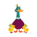 Funny Dabbling Duck Character Stand with Baby Duckling Vector Illustration