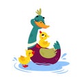Funny Dabbling Duck Character Swimming with Yellow Baby Duckling Vector Illustration