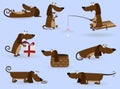 Funny dachshund set