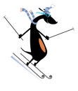 Cartoon skier dog illustration