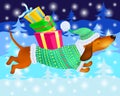 Funny dachshund in winter clothes with gifts on the background of Christmas trees