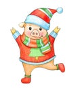 Funny dancing pig cartoon in Christmas costume.