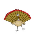 Funny Dancing Turkey Royalty Free Stock Photo