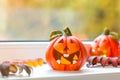 Funny decorative pumpkins for Halloween stand on the windowsill Royalty Free Stock Photo