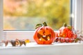 Funny decorative pumpkins for Halloween stand on the windowsill Royalty Free Stock Photo