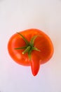 Funny deformed red tomato with a nose Royalty Free Stock Photo