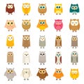 Funny different forest owl collection