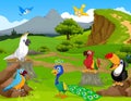 Funny different kind of birds cartoon the jungle with landscape background Royalty Free Stock Photo