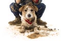 FUNNY DIRTY DOG AND CHILD. JACK RUSSELL DOG AND BOY WEARING BOOTS AFTER PLAY IN A MUD PUDDLE. ISOLATED STUDIO SHOT AGAINST WHITE Royalty Free Stock Photo