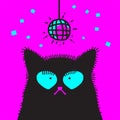 Funny disco cat face