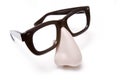 Funny disguise glasses