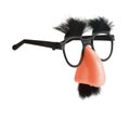 Funny Disguise Royalty Free Stock Photo