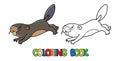 Funny diving beaver. Kids coloring book. Vector