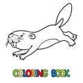 Funny diving beaver. Kids coloring book. Vector