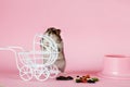 Funny Djungarian hamster with vintage decorative stroller and feed near his bowl on pink background