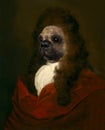 Funny Dog, Renaissance Man Spoof Royalty Free Stock Photo