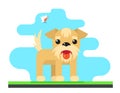 Funny Dog Bird Sky Background Concept Flat Design Vector Illustration Royalty Free Stock Photo