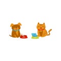 Funny dog and cat eating food, cute domestic pet animals cartoon characters, best friends vector Illustration on a white Royalty Free Stock Photo