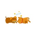 Funny dog and cat sleeping on the floor, cute domestic pet animals cartoon characters, best friends vector Illustration Royalty Free Stock Photo