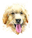 Funny dog. cute puppy watercolor hand drawn illustration.