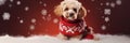 Funny Dog Embracing The Winter Season With A Cozy Christmas Sweater Dog Christmas Sweaters, Holiday Royalty Free Stock Photo